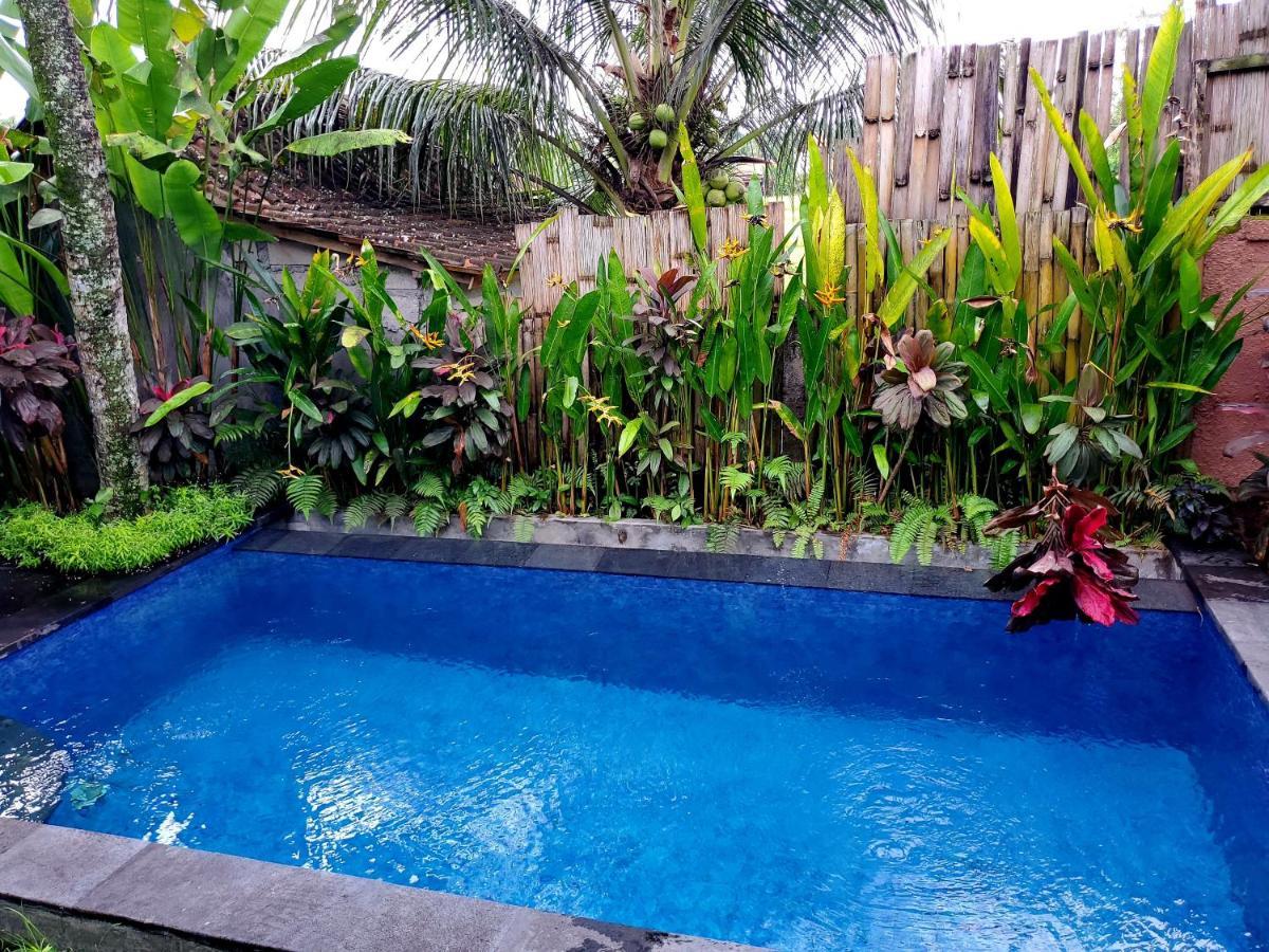 Kakau Villa 2 - Ubud 外观 照片