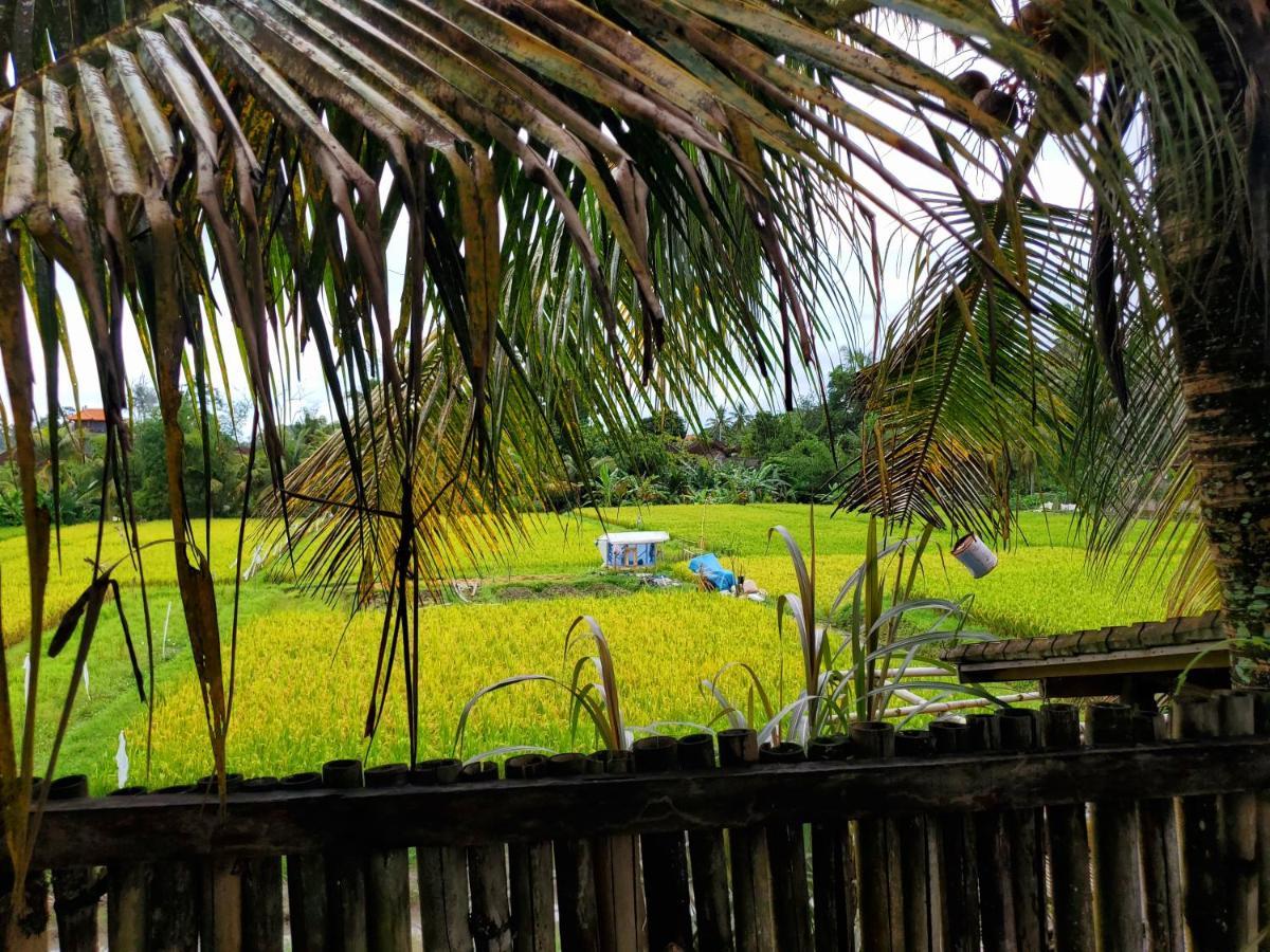 Kakau Villa 2 - Ubud 外观 照片